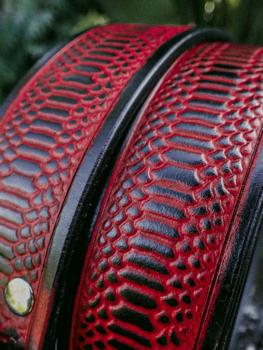 Snakeskin Belt